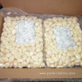 Fresh peeled Garlic Clove In 1kg Bag